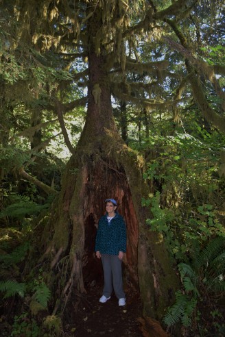 Copyright 2018 Rolf C. Margenau- Olympic NP-Quinault Rain Forest022 {seqn